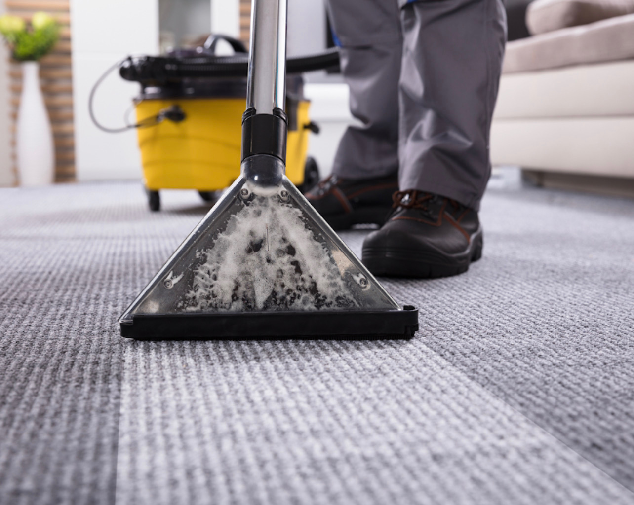 Elite cleaning standards applied to office environment